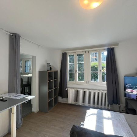 House On Historic City Wall - Freihofapartments 브루그 외부 사진