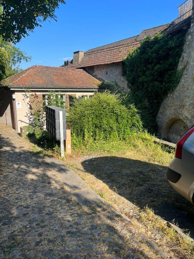House On Historic City Wall - Freihofapartments 브루그 외부 사진